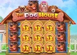 21Bit Casino casino AU The Dog House